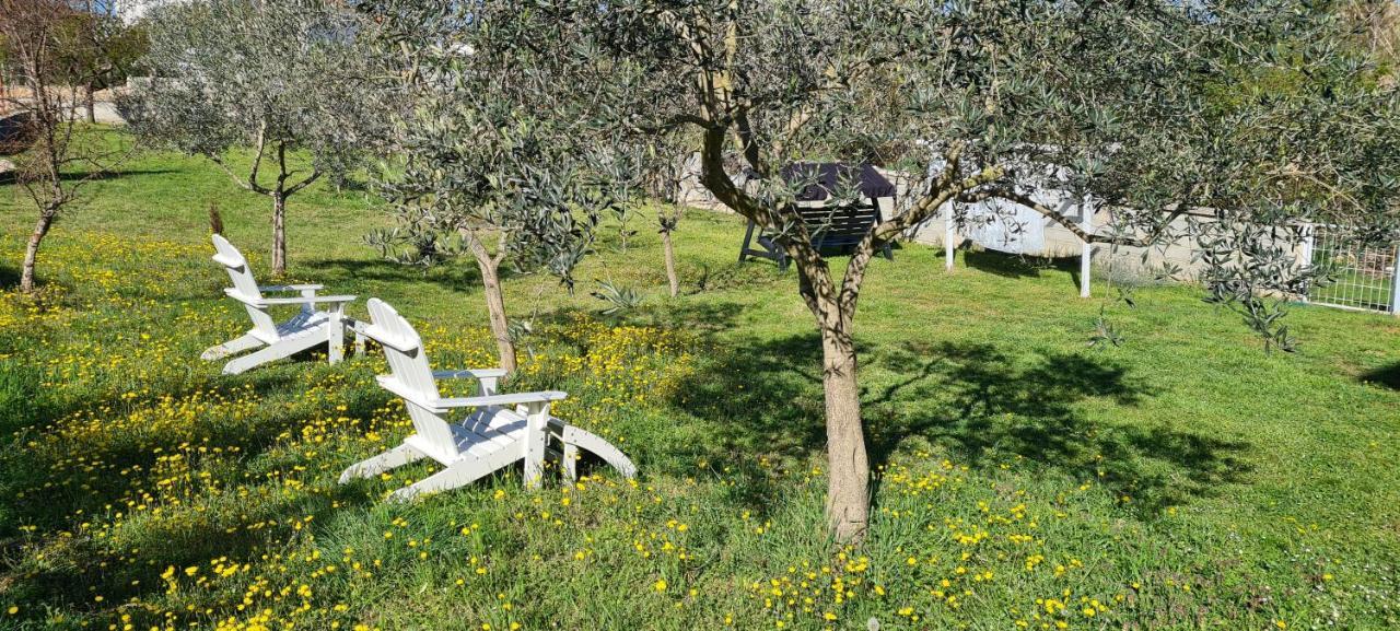 La Pergola Ξενοδοχείο Fažana Εξωτερικό φωτογραφία